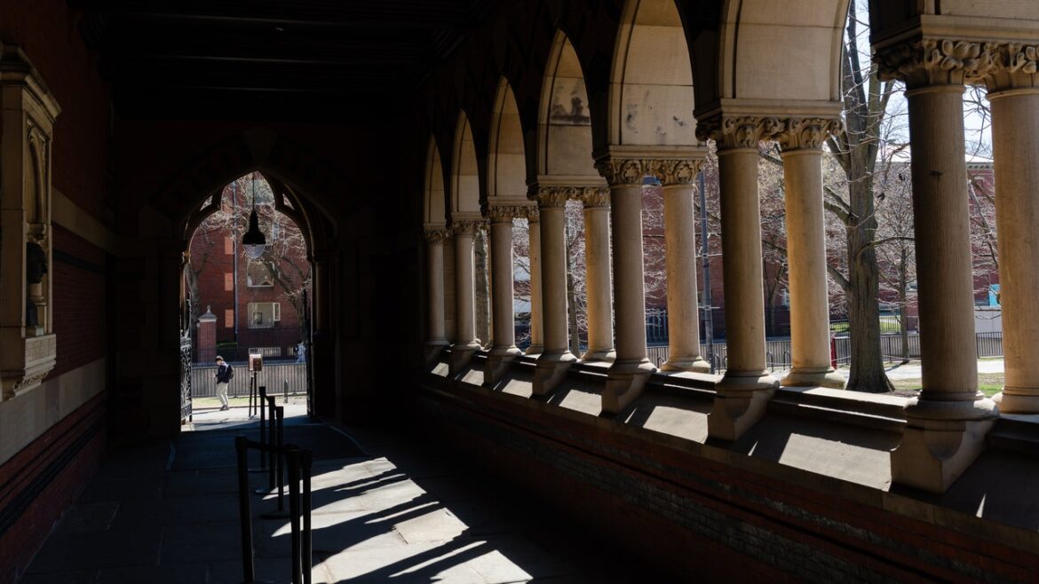 The Cost of Defunding Harvard