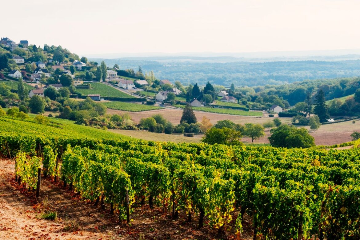 The perfect breaks to book in France this summer
