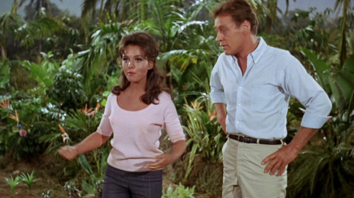 How Gilligan's Island Star Dawn Wells Really Felt About Working With Russell Johnson